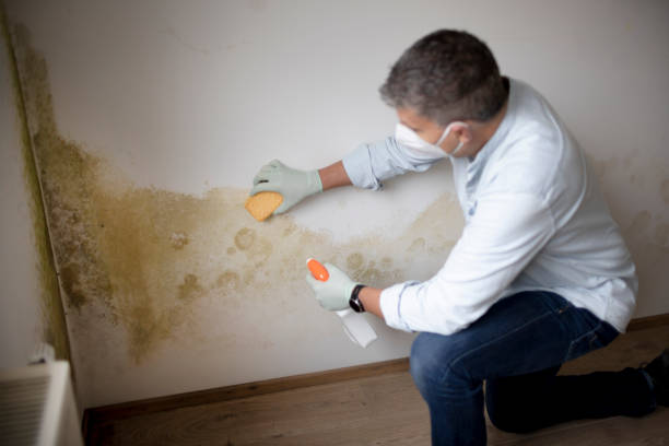 Best Mold Documentation for Insurance Claims  in Sunnyside Tahoe City, CA