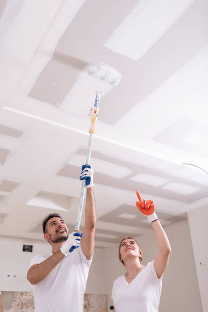 Mold Remediation for Vacation Homes in Sunnyside Tahoe City, CA