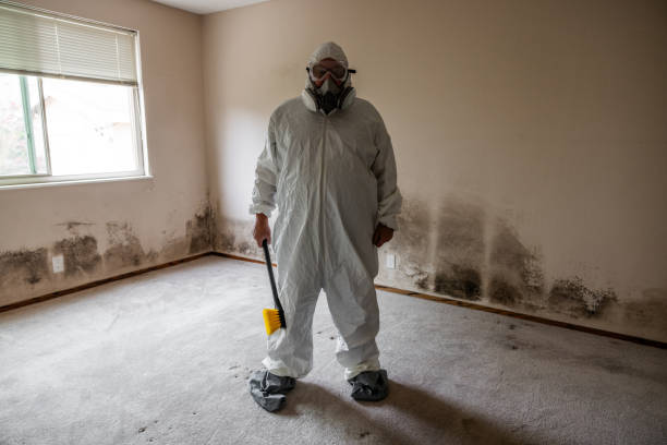Best Environmental Consulting for Mold Prevention  in Sunnyside Tahoe City, CA
